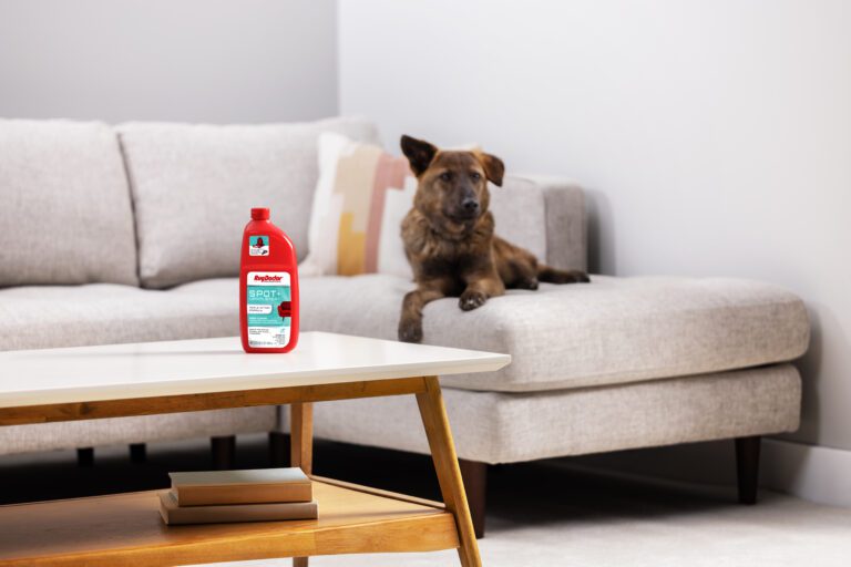 Spot and Upholstery Cleaner
