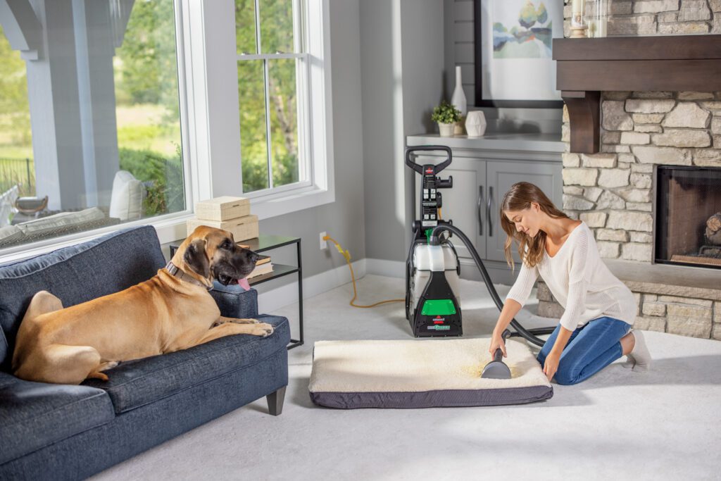 3-Month Home Maintenance Tips for Pet Owners