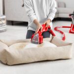 Pro Deep Pro Motorized Upholstery Tool: In use cleaning a pet bed