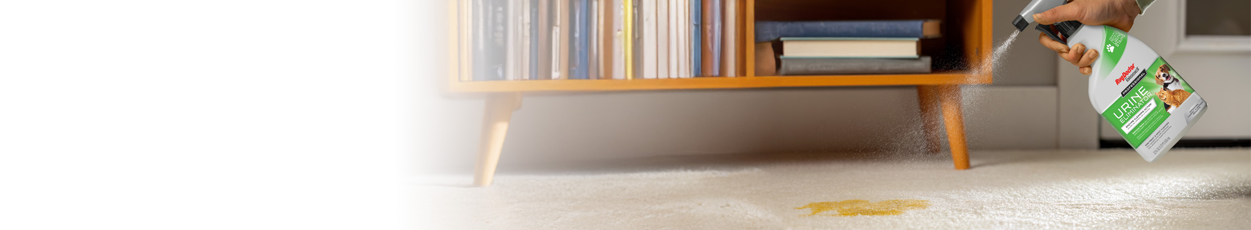 Carpet Stain Removers