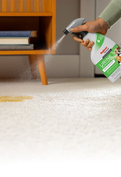Carpet Stain Removers