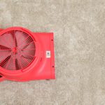 Floor Dryer Rug Doctor by BISSELL