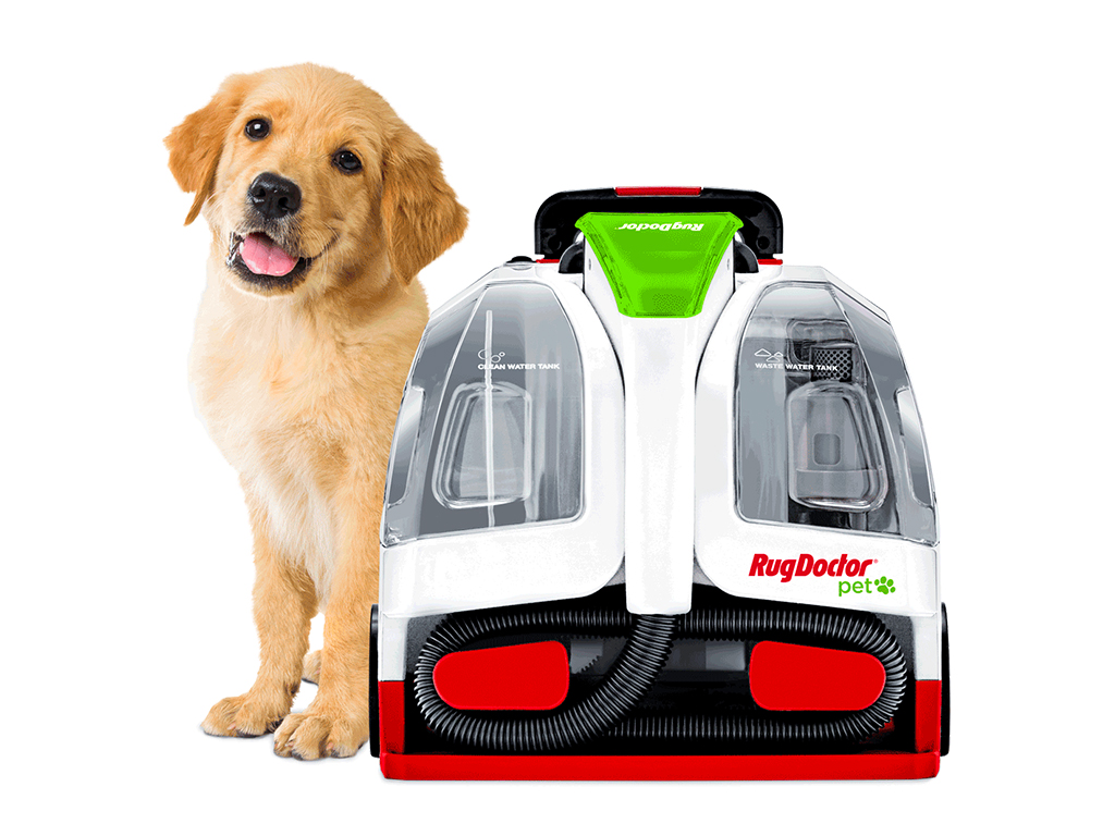 Pet Portable Spot Cleaner Rug Doctor by BISSELL