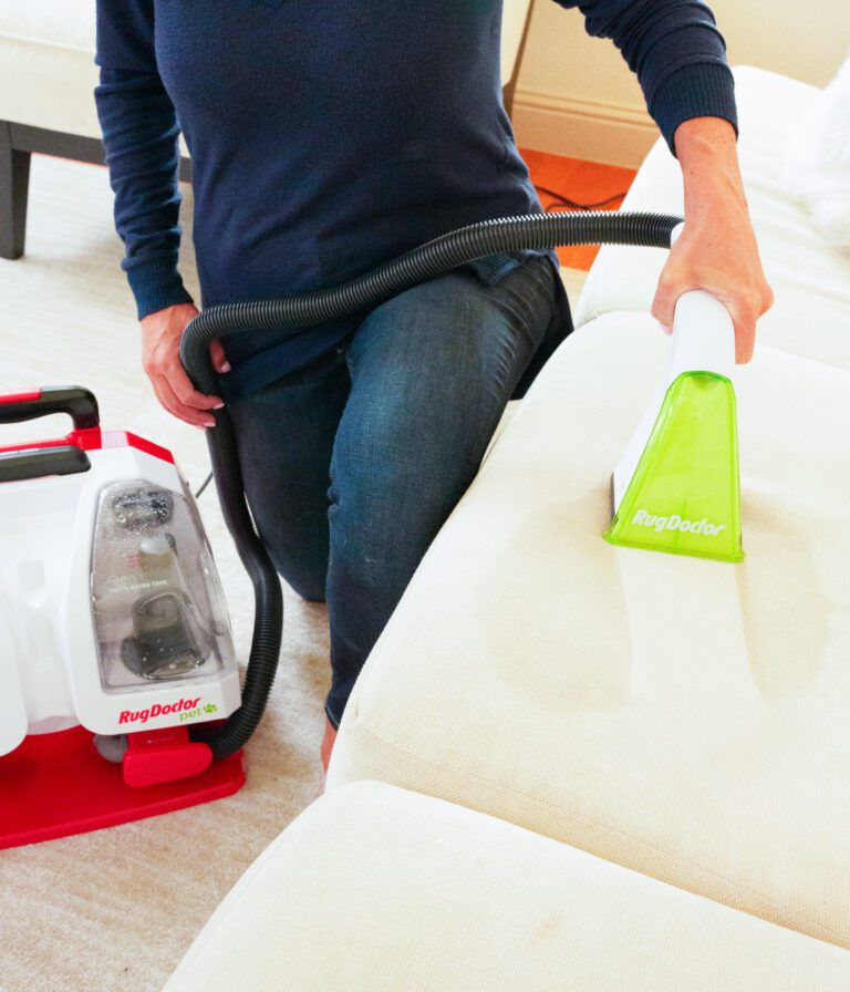 Pet Portable Spot Cleaner Couch