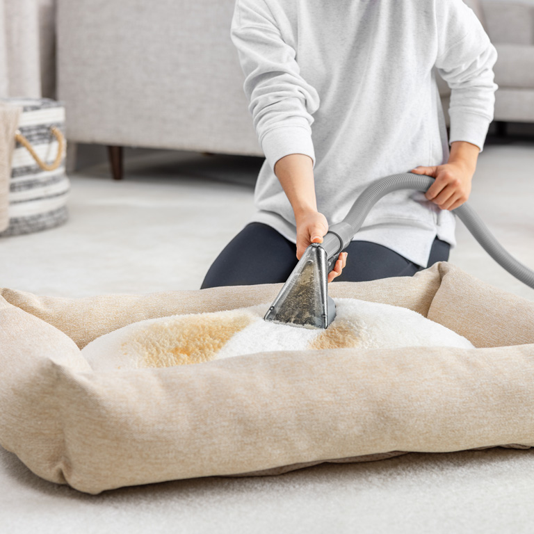 Clean Pet Bed