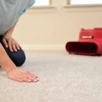Floor Dryer Rug Doctor by BISSELL