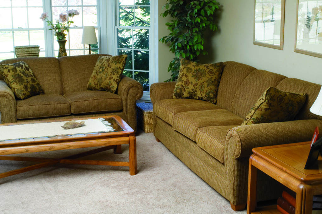 How to Clean Thrifted Upholstery and Rugs