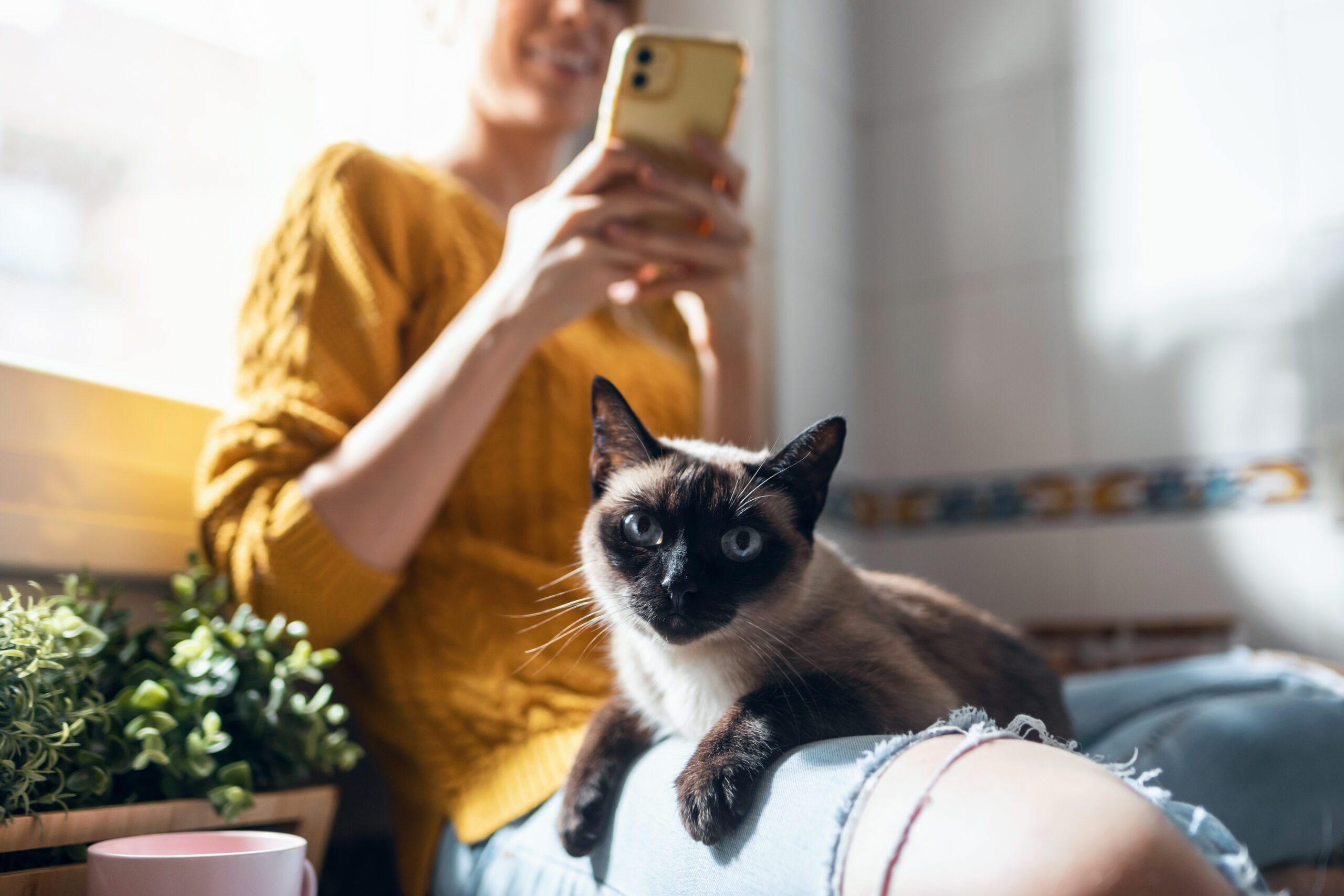 Shot of young woman with her cat
