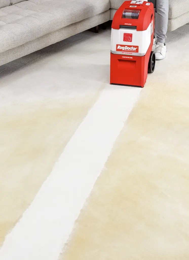 How to Rent a Carpet Cleaner